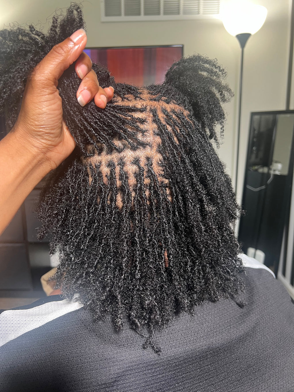 Microlocs Six Month Unlimited Maintenance Pass